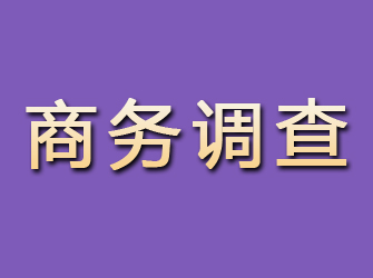 江阴商务调查